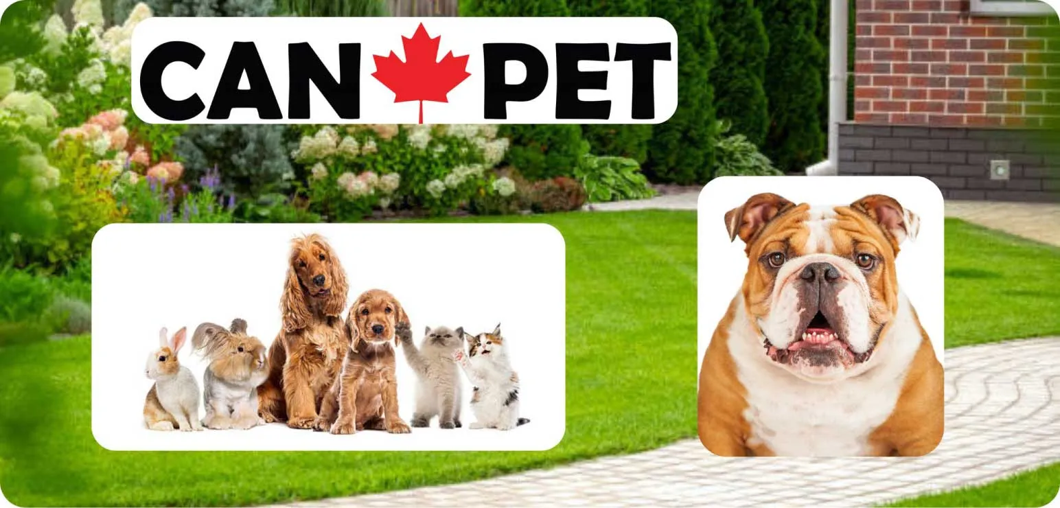 Effeclean Canada Inc. Appoints Can-Pet Distribution as Canadian Distributor for Eco-Pet™Product Line Kitchener