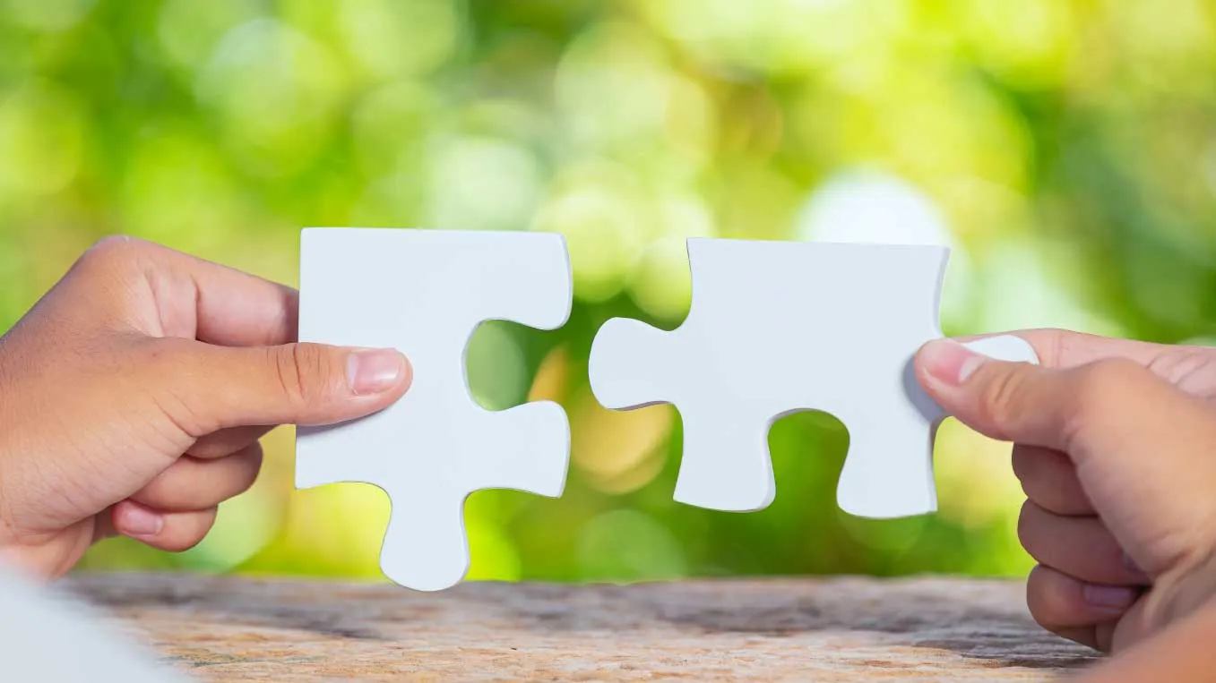 Why Choose Effeclean™ Odor Remover?